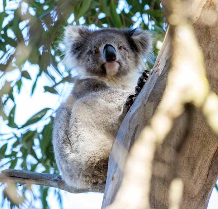 122203 - GALLERY.jpg